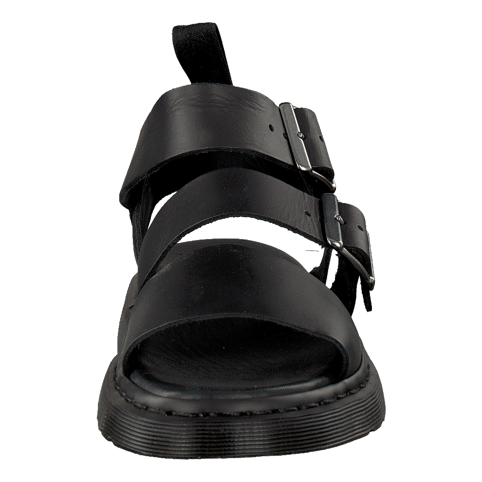 Gryphon Black
