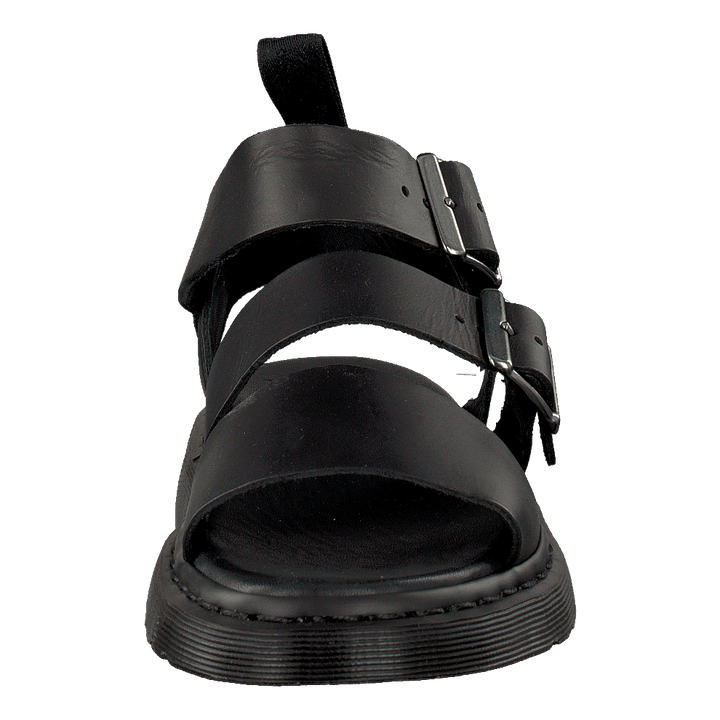 Gryphon Black