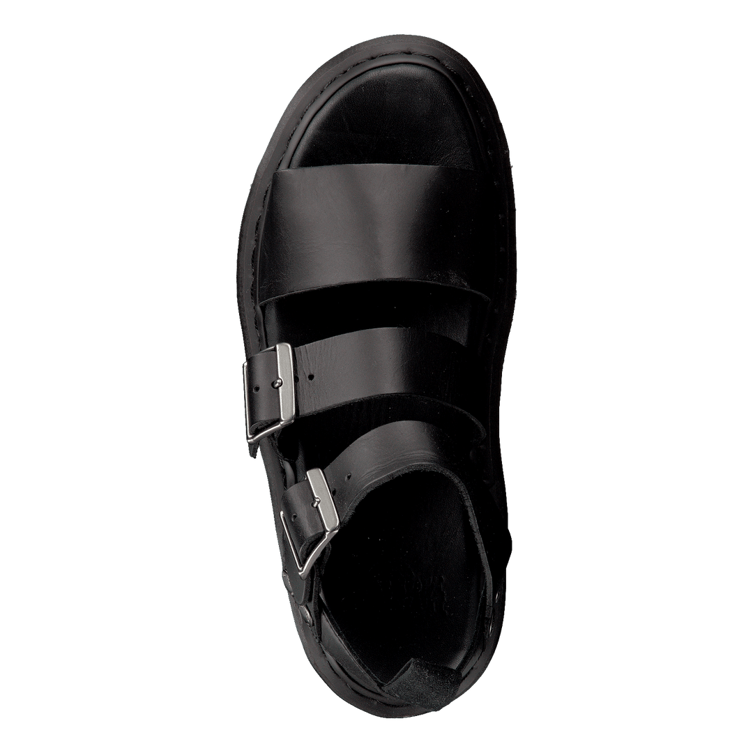 Gryphon Black
