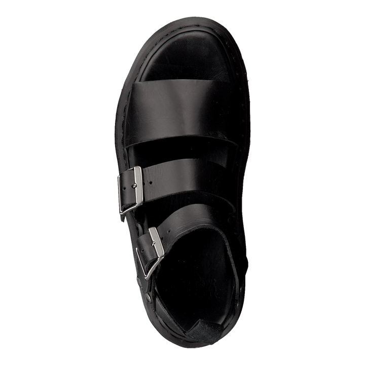 Gryphon Black