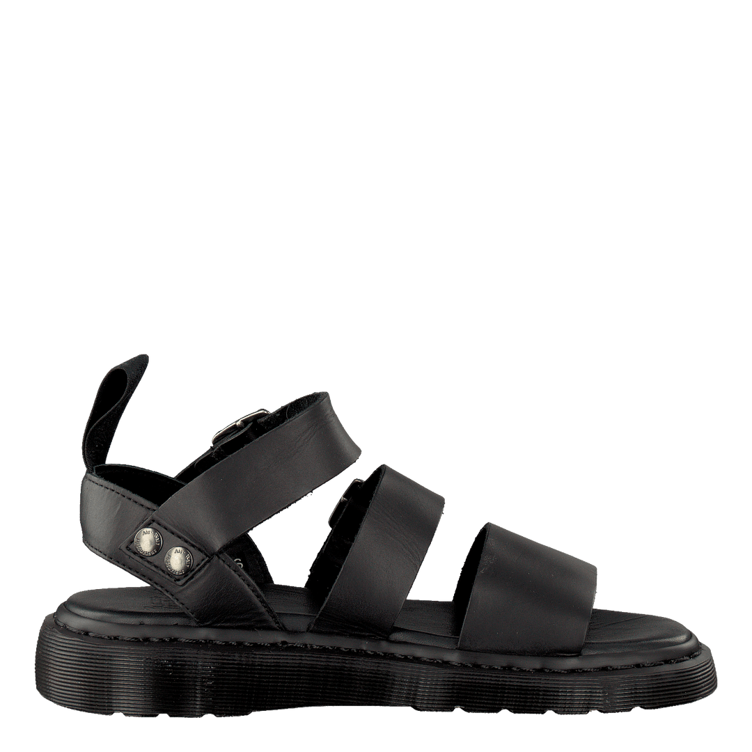 Gryphon Black