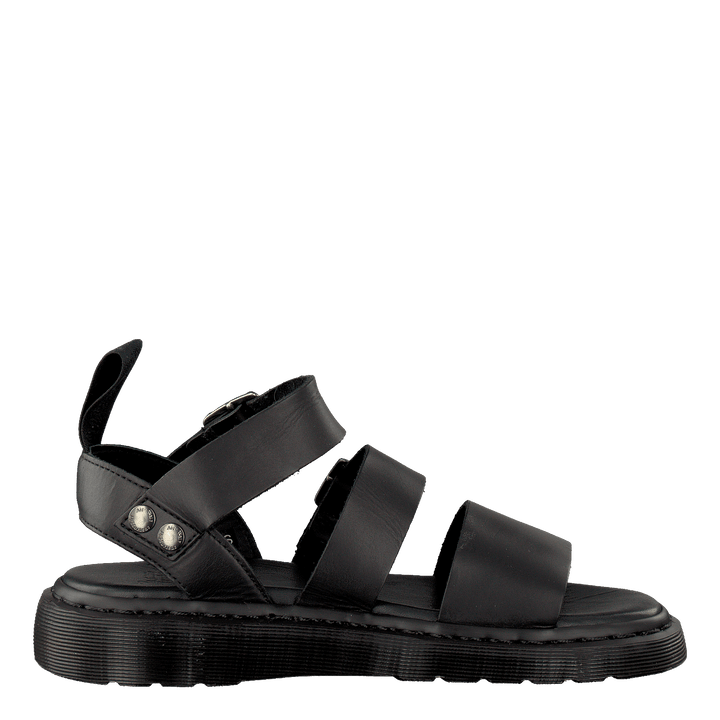 Gryphon Black