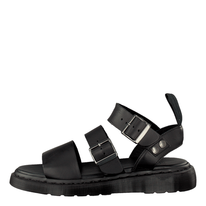 Gryphon Black