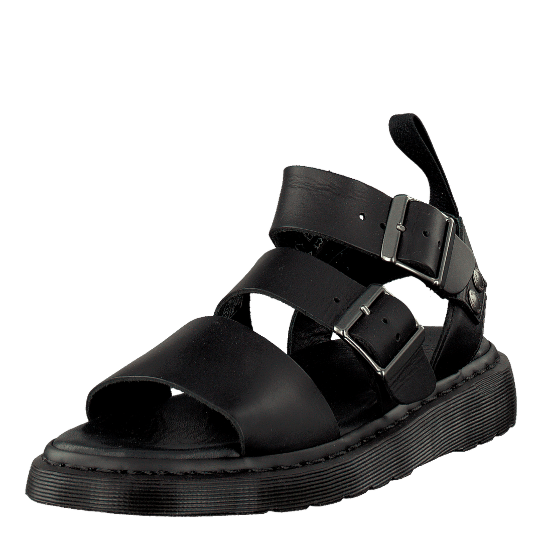 Gryphon Black