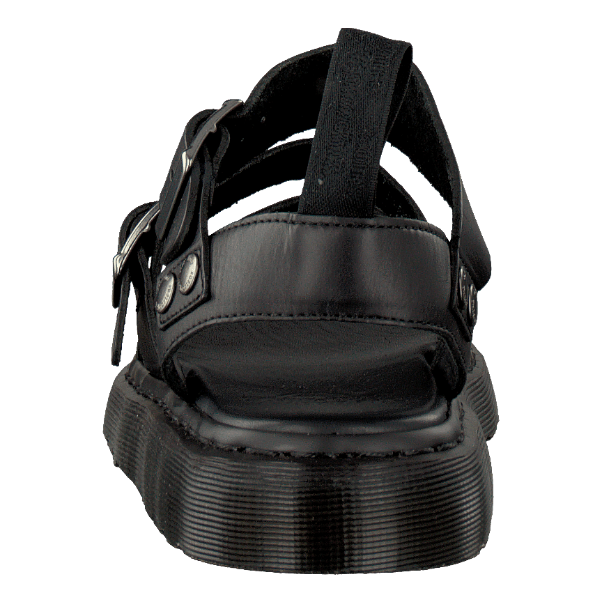 Gryphon Black