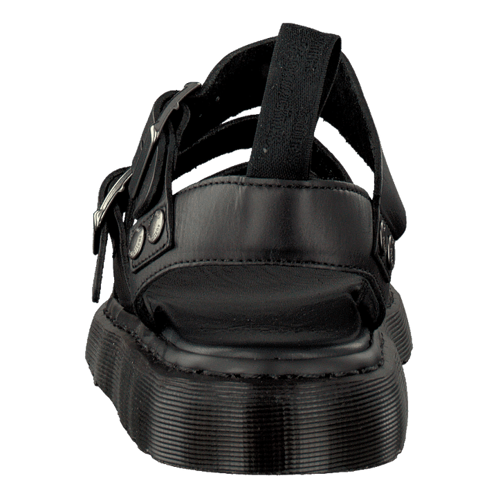 Gryphon Black
