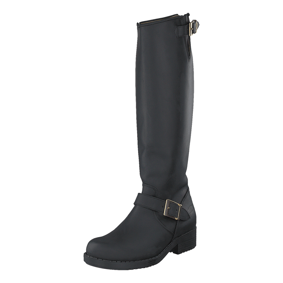 High Zip Back Black Shiny Gold