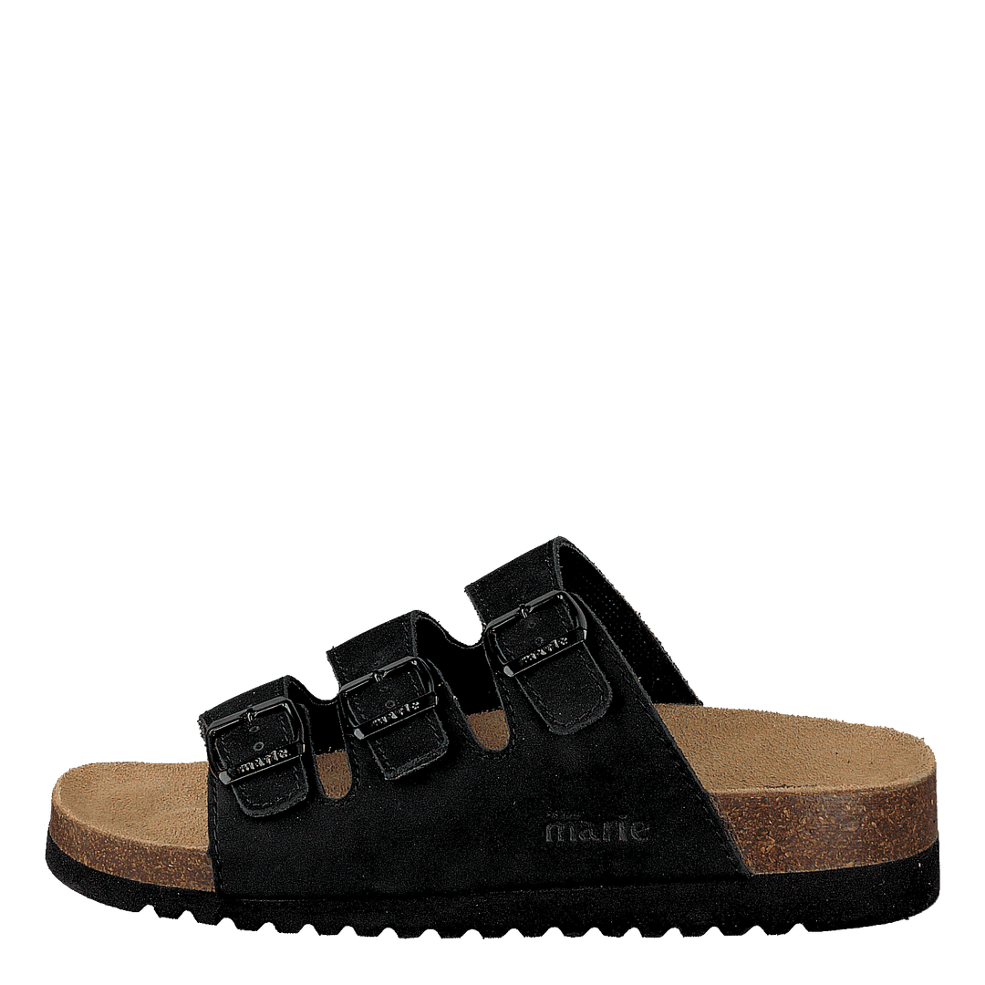 Spirit Black - Heppo.com