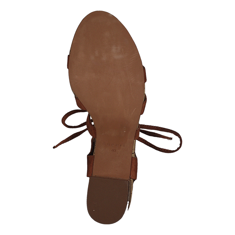 036EK1W028 Brown