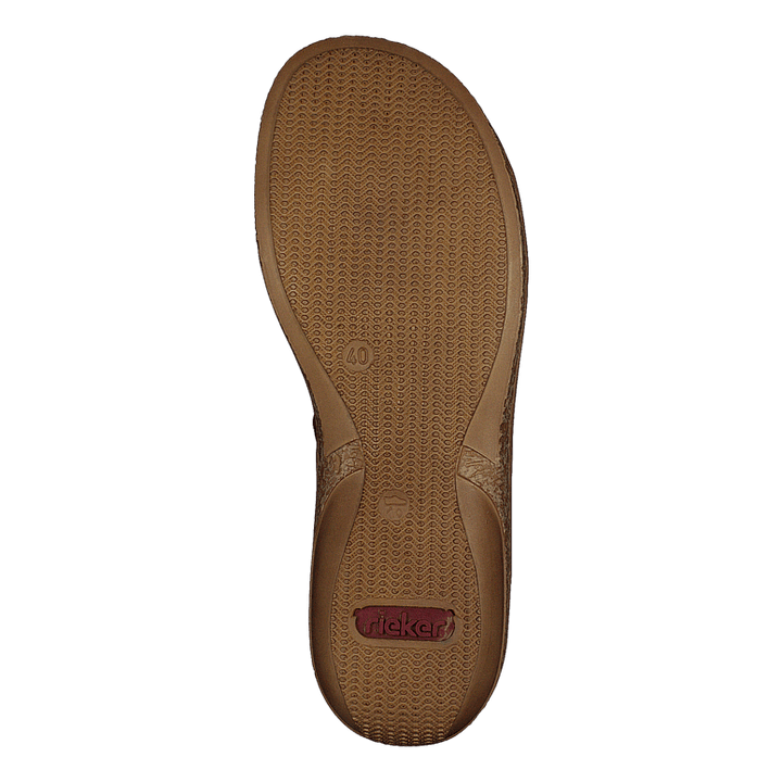 62834-14 Blue - Heppo.com