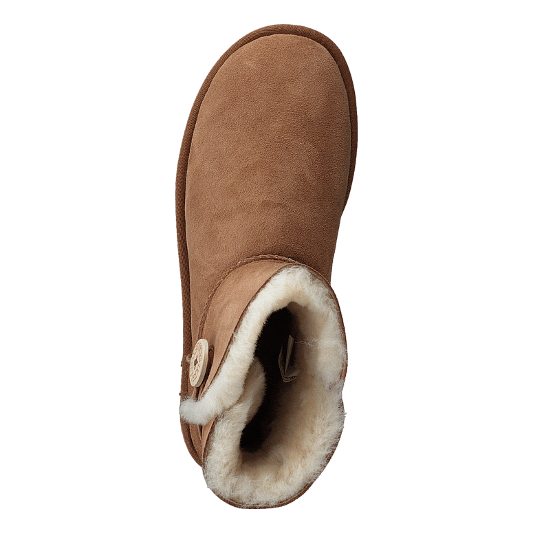 Mini Bailey Button II Chestnut