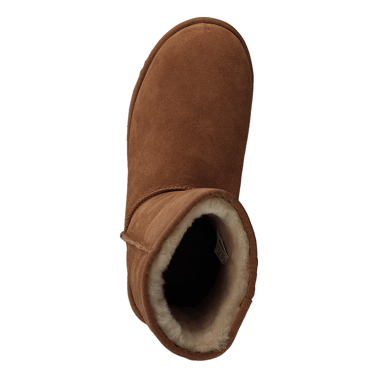 Classic Short II Chestnut - Heppo.com