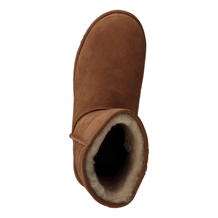 Classic Short II Chestnut - Heppo.com