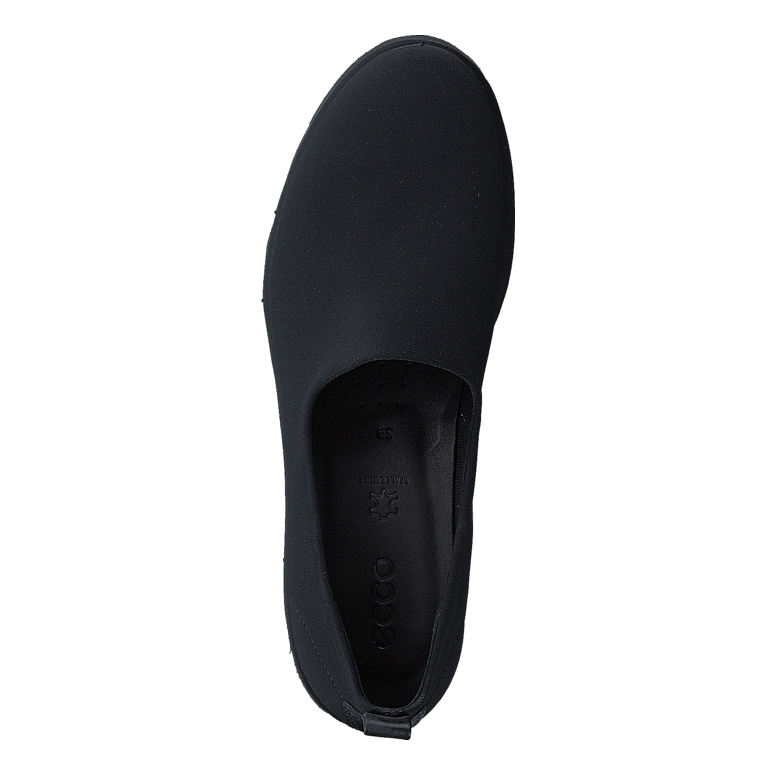 282073 Bella Black