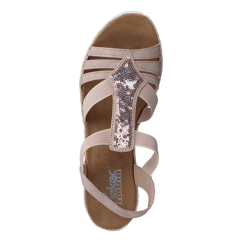 61913-31 Rosa