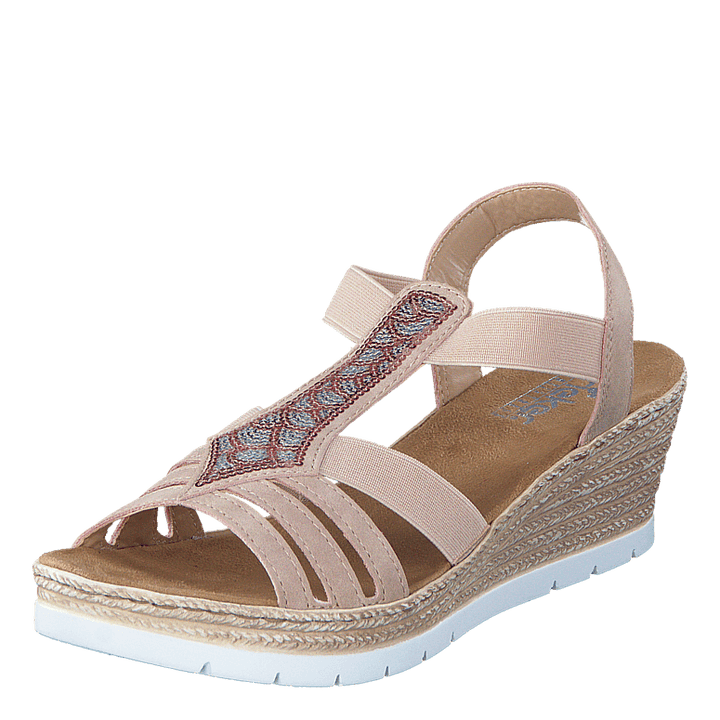 61913-31 Rosa