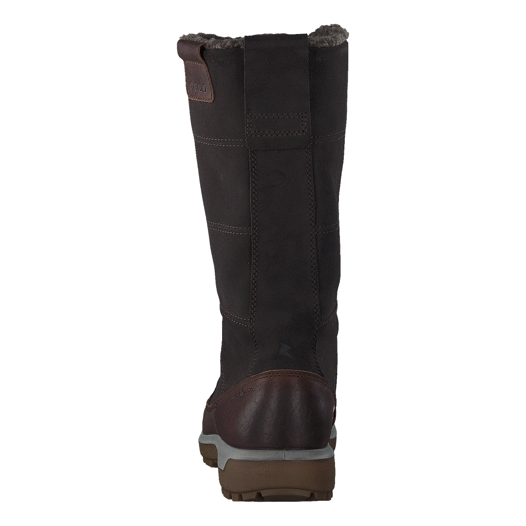 837043 Gora Cocoa Brown/ Licorice