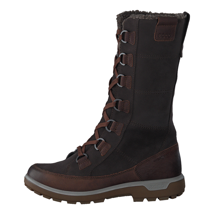 837043 Gora Cocoa Brown/ Licorice