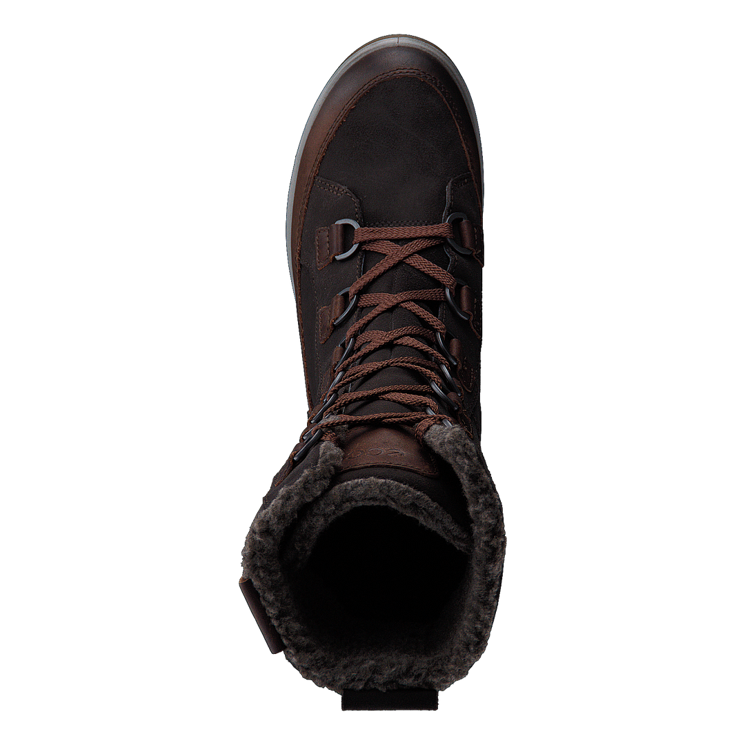 837043 Gora Cocoa Brown/ Licorice