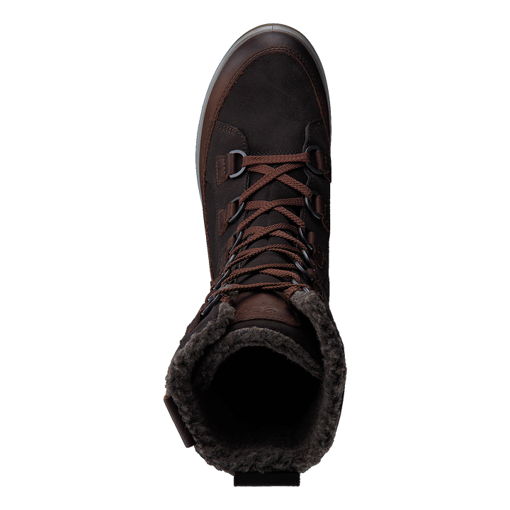 837043 Gora Cocoa Brown/ Licorice