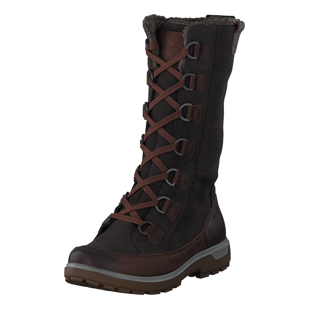 837043 Gora Cocoa Brown/ Licorice