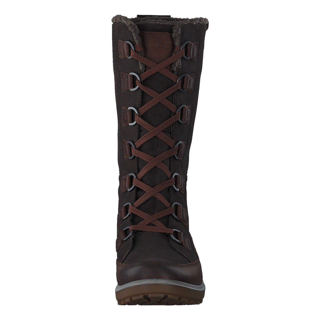 837043 Gora Cocoa Brown/ Licorice