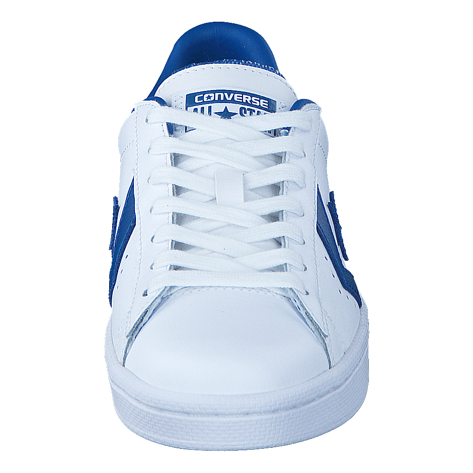 PL 76 Elevated Ox White/Blue Jay/White