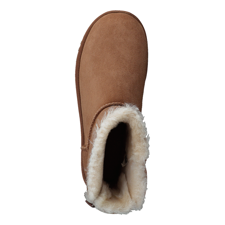 Mini Bailey Bow II Chestnut