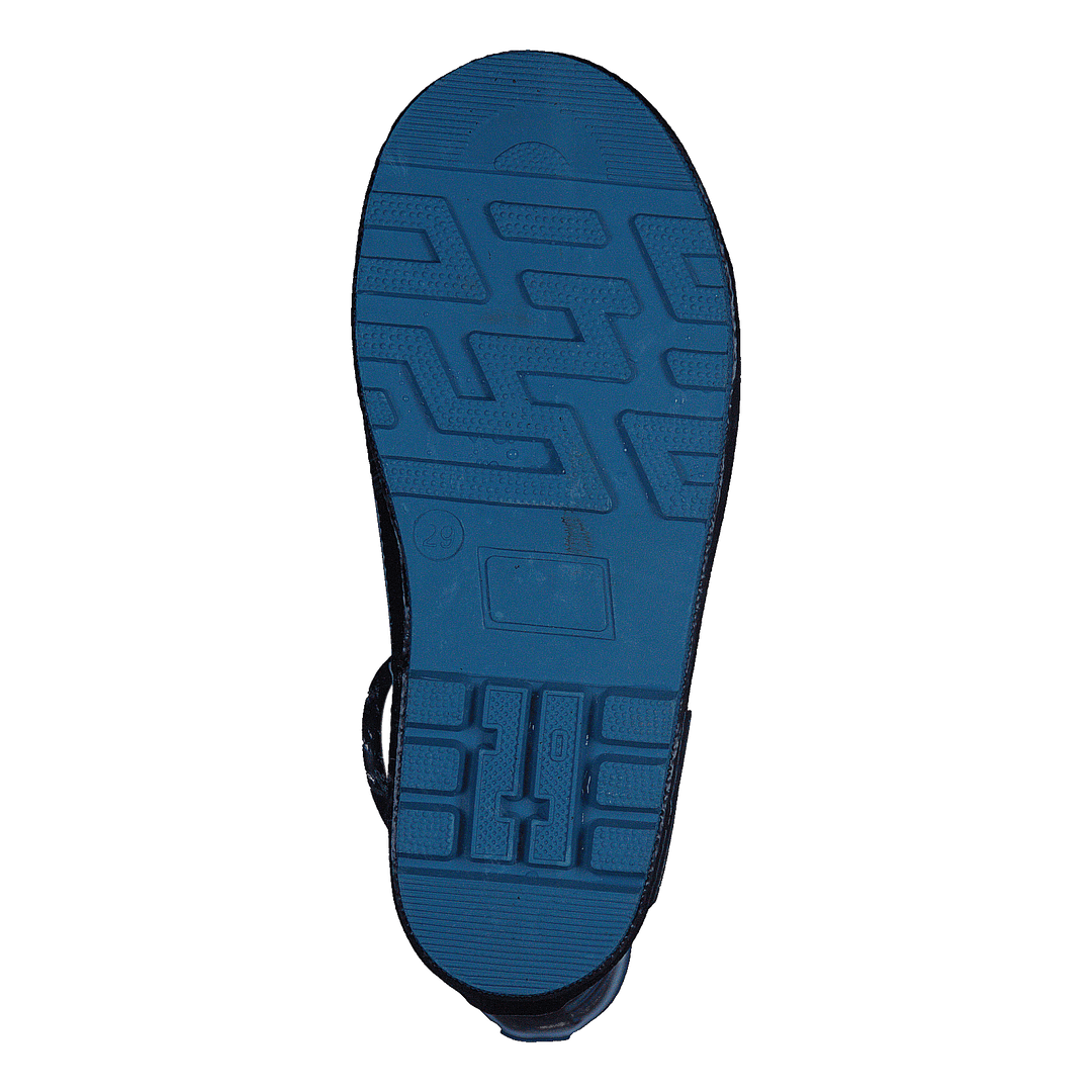 Zebra Gold Blue