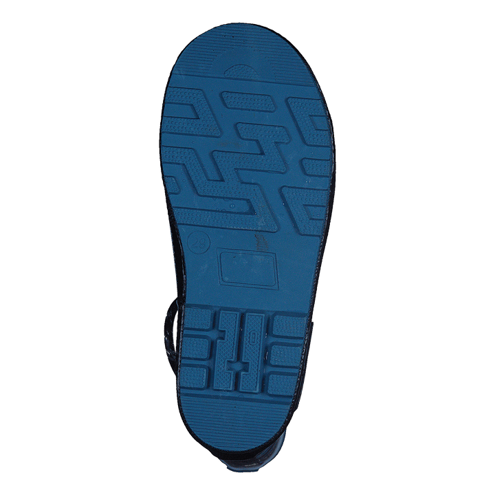 Zebra Gold Blue