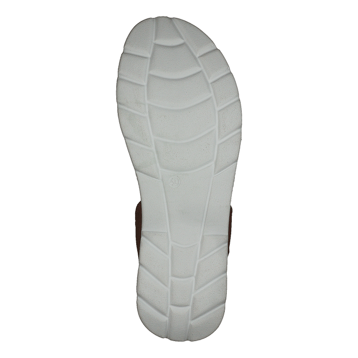 483-2786 Cognac