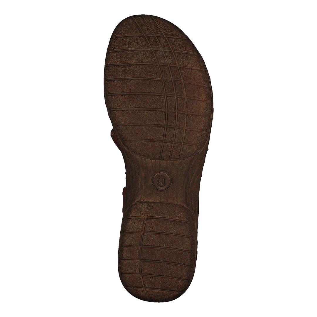 483-2512 Cognac
