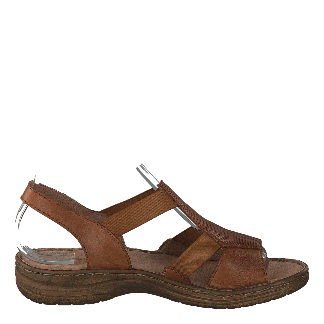 483-2512 Cognac