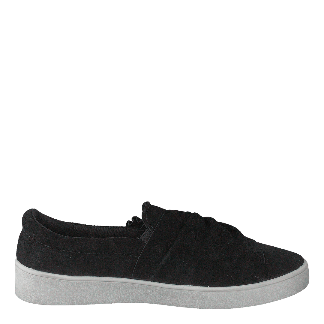 73-41854 Black
