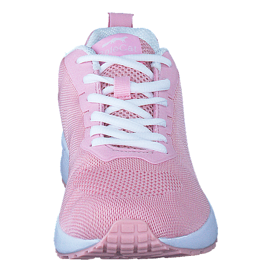 435-3410 Pink