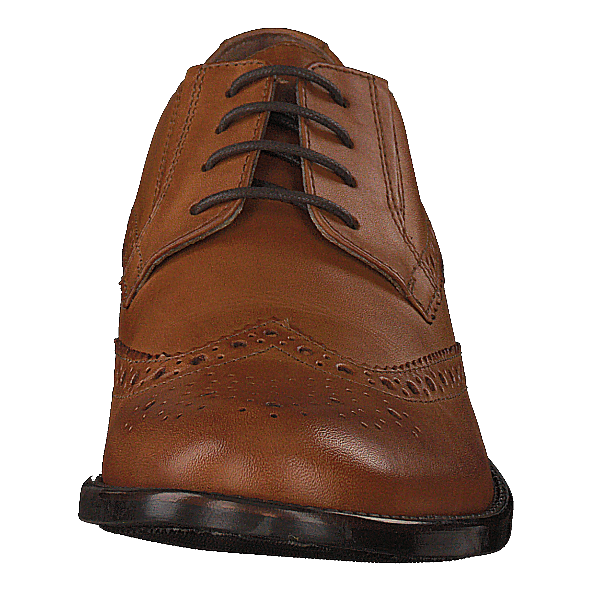 479-1043 Premium Cognac