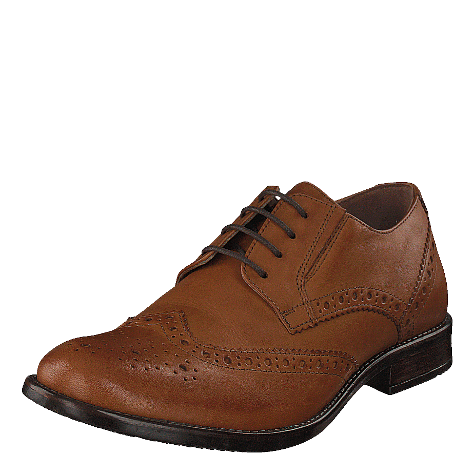 479-1043 Premium Cognac