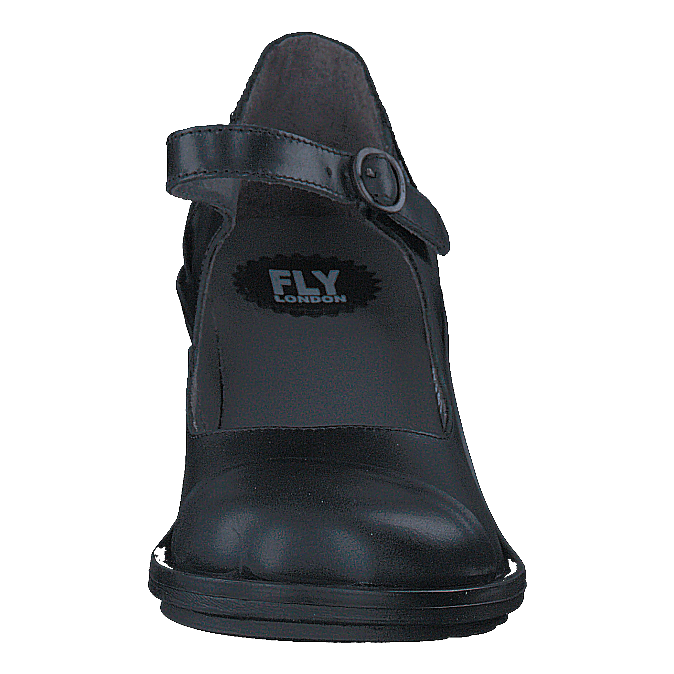 Cody877fly Rug Black