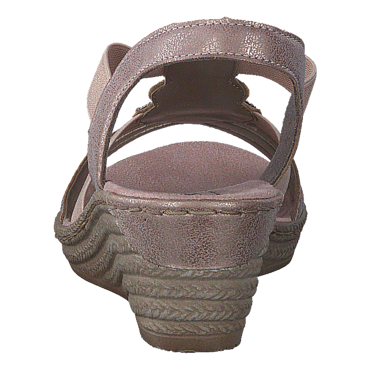 62459-31 Rose - Heppo.com