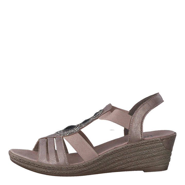 62459-31 Rose - Heppo.com