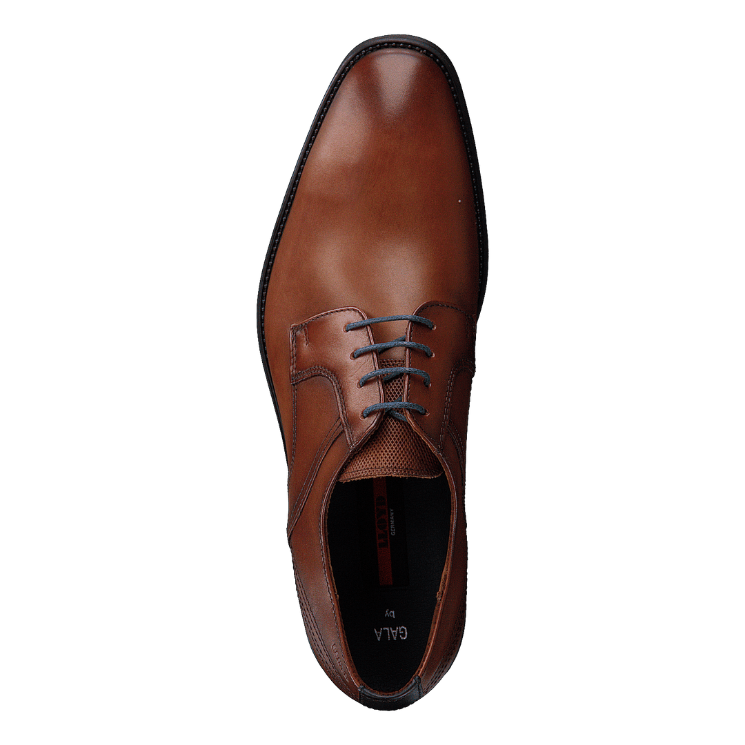 Gala Cognac