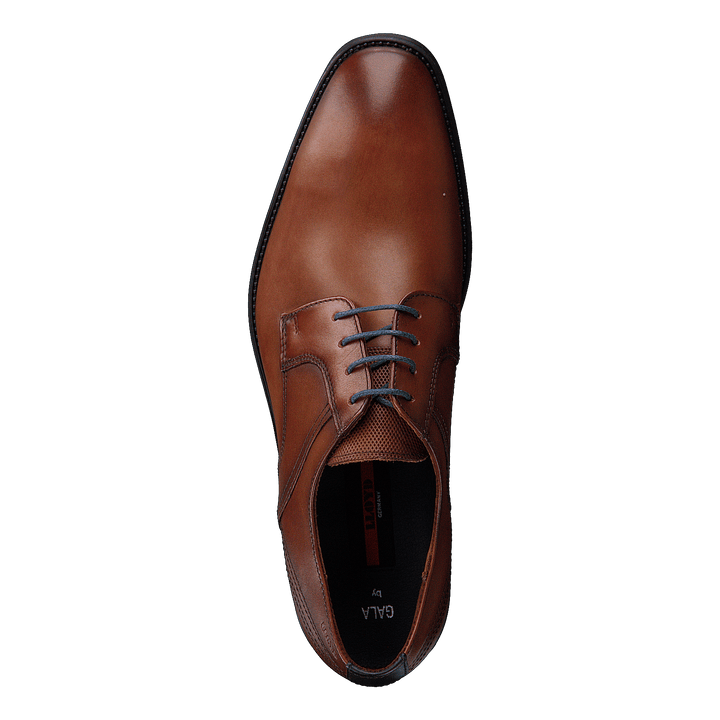 Gala Cognac