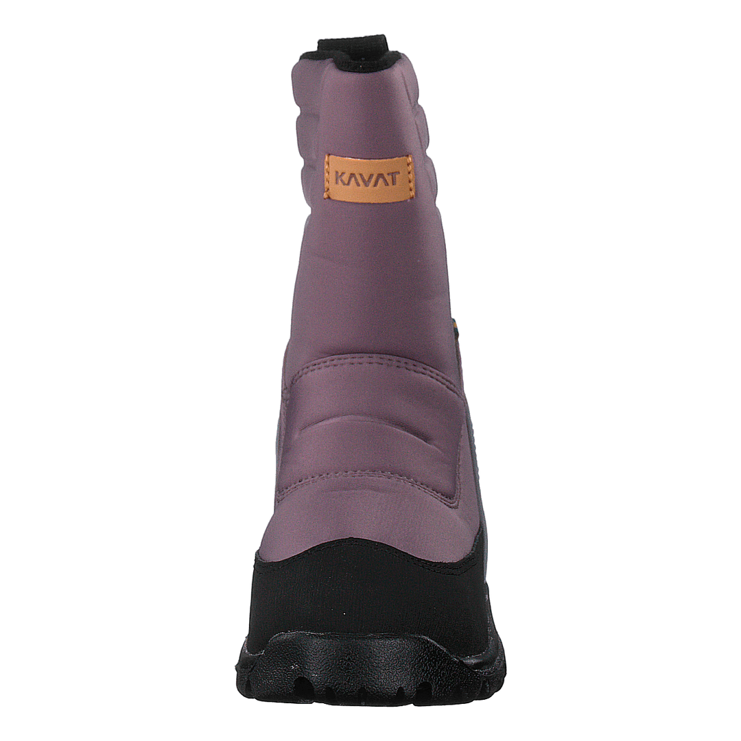 Voxna Wp Purple
