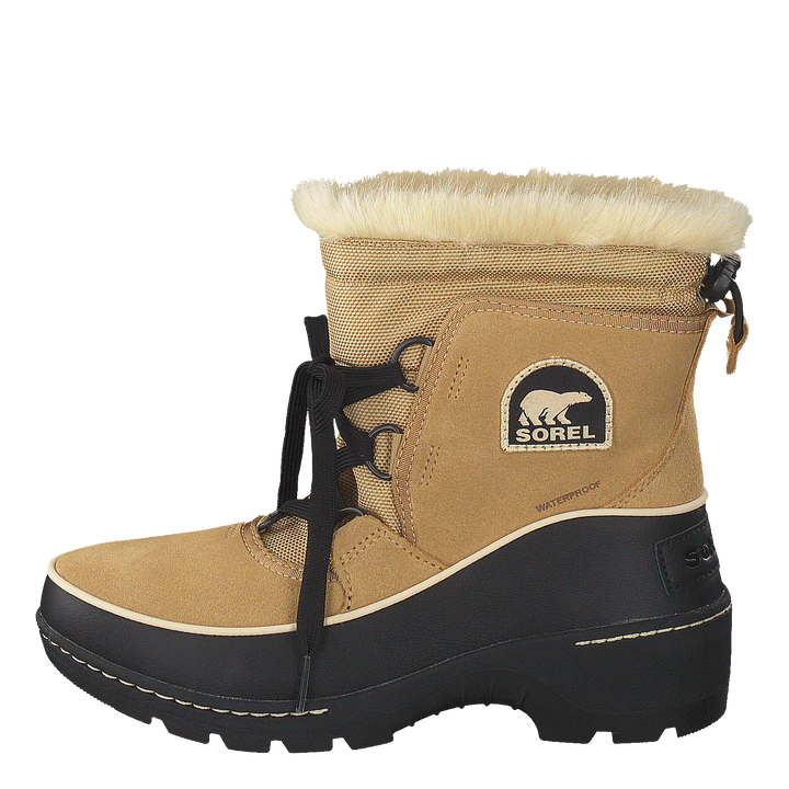 Torino 373 Curry Black