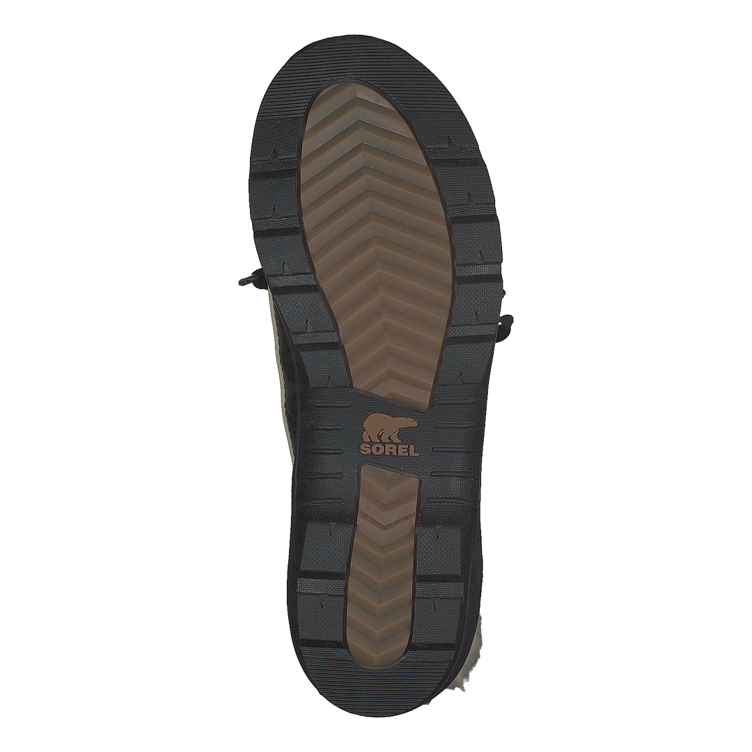 Torino 373 Curry Black