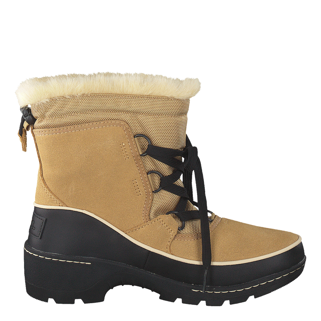 Torino 373 Curry Black