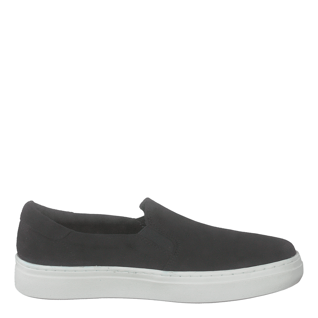 73-52229 Black