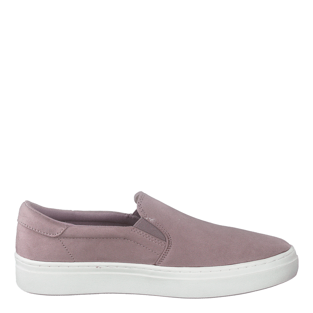 73-52229 Light Purple