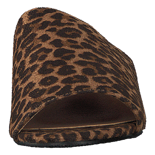 97-00704 Brown/multi