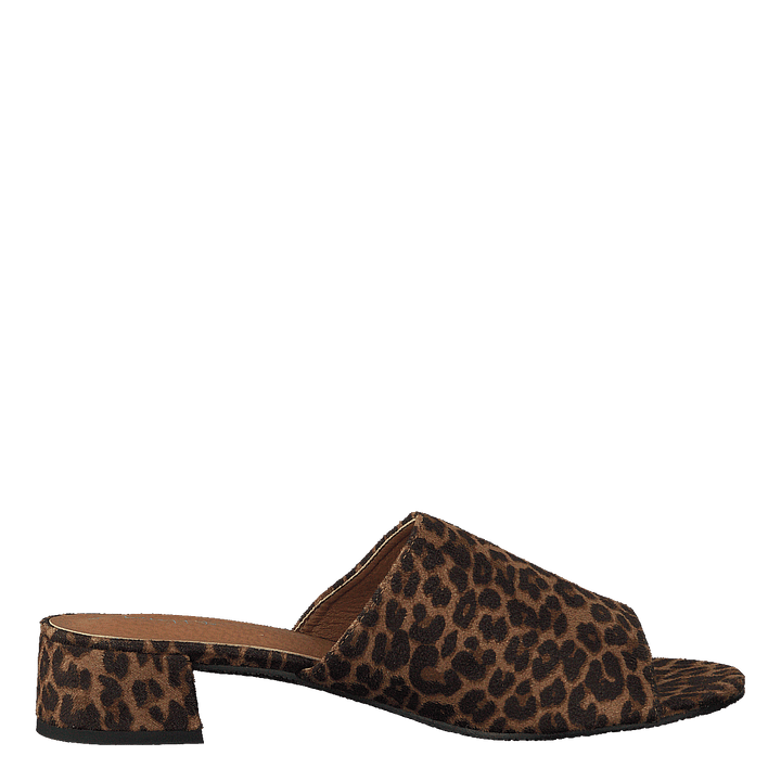 97-00704 Brown/multi